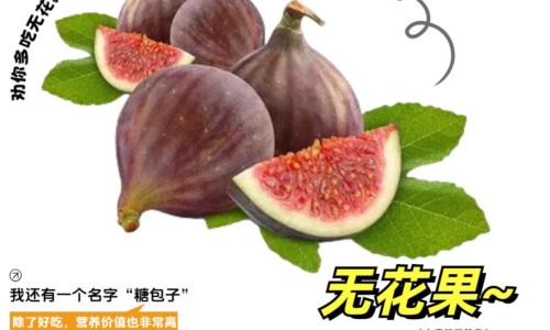 格拉司琼注射剂静脉滴注-格拉司琼用法用量专区_格拉司琼注射剂静脉滴注专区_格拉司琼注射夜说明书网