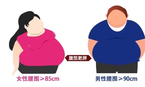 格拉司琼注射剂静脉滴注-格拉司琼用法用量专区_格拉司琼注射剂静脉滴注专区_格拉司琼注射夜说明书网